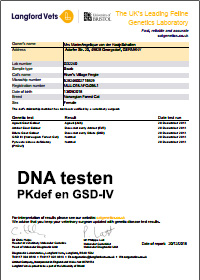 DNA testen 2018