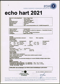 HCM echo 2021
