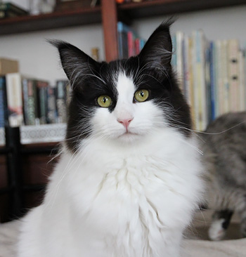 Lily Lily 9 maanden oud