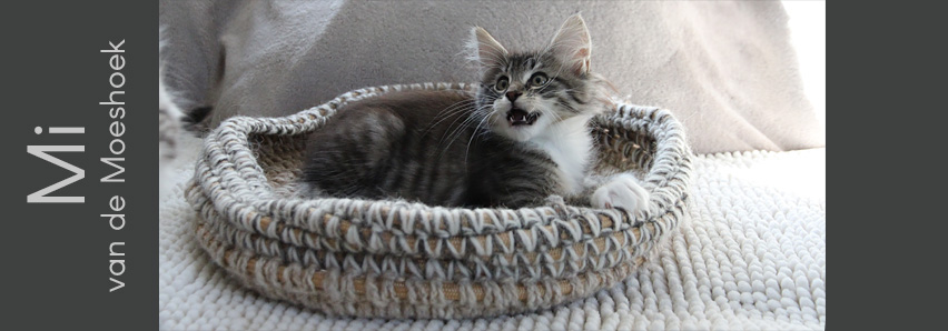 Mi van de Moeshoek Mi van de Moeshoek