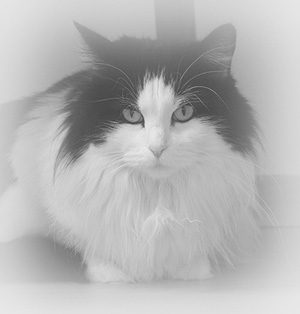 Mijntje fan de Grutte Ferlieding