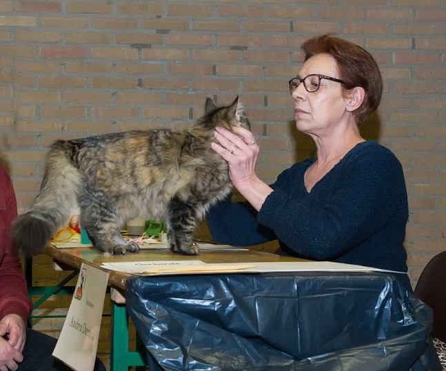 Patience op de keurtafel bij Andrea Duerinck Patience op de keurtafel bij Andrea Duerinck