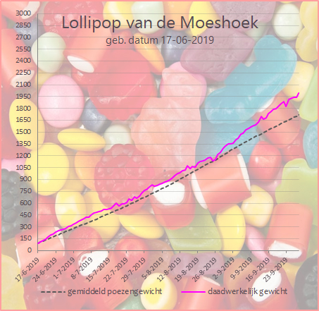 Groeicurve Lollipop van de Moeshoek