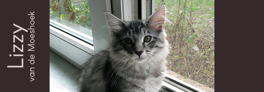 Lizzy&nbsp;van de Moeshoek