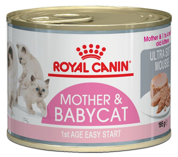 Royal Canin Mother & Babycat Mousse