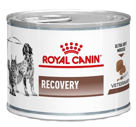 Royal Canin Recovery