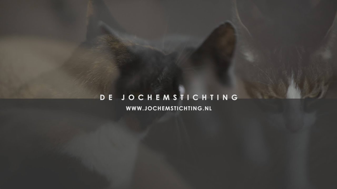 Jochemstichting