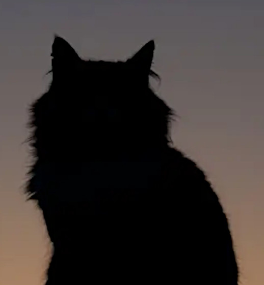 vader is nog niet bekend gemaakt