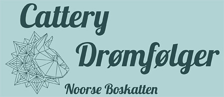 cattery Drømfølger