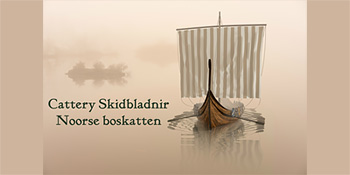 Skidbladnir