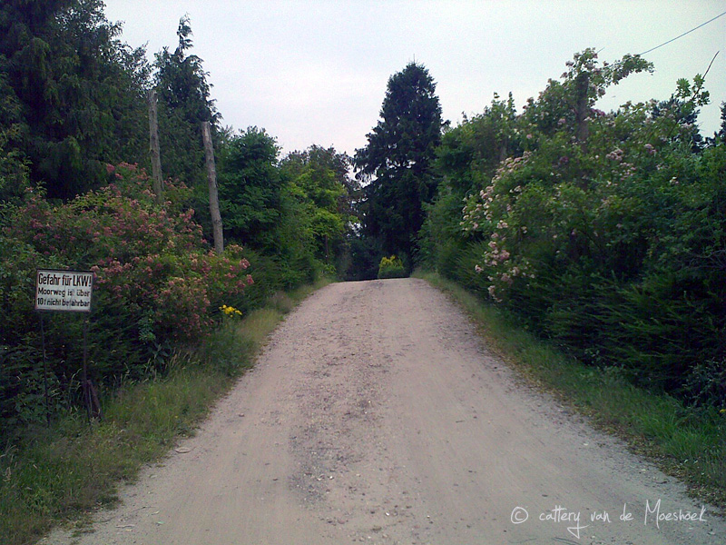 Moorbaumschule Vennegerts