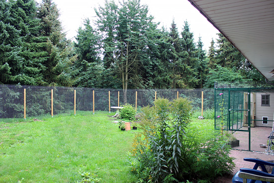 De katveilige achtertuin