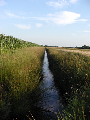 Afwatering in het veen