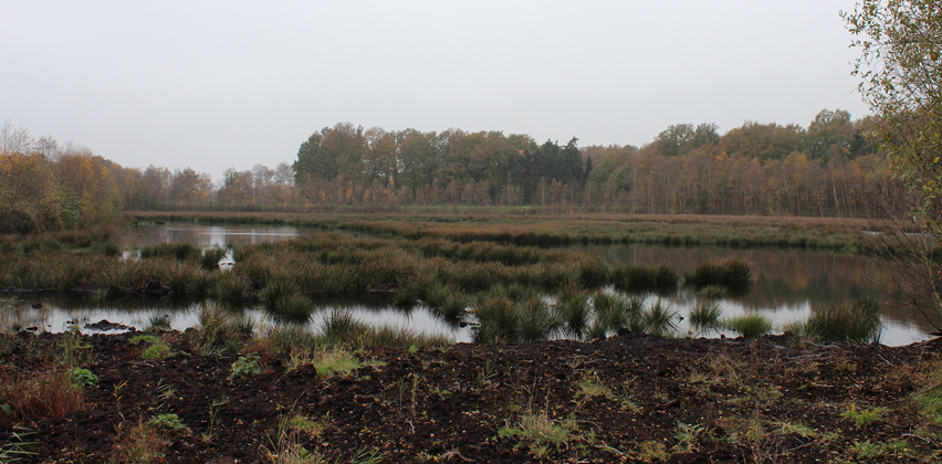 Gelegen aan de rand van het Bourtanger veen