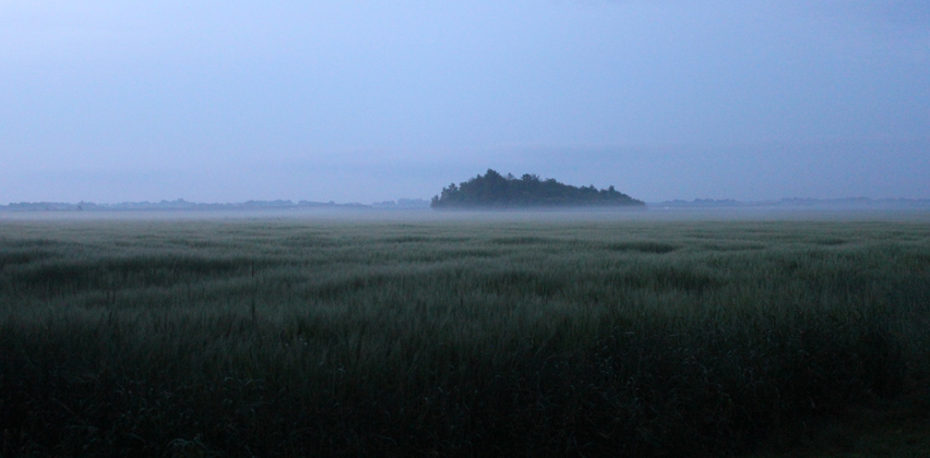 Uitzicht vanuit de achtertuin